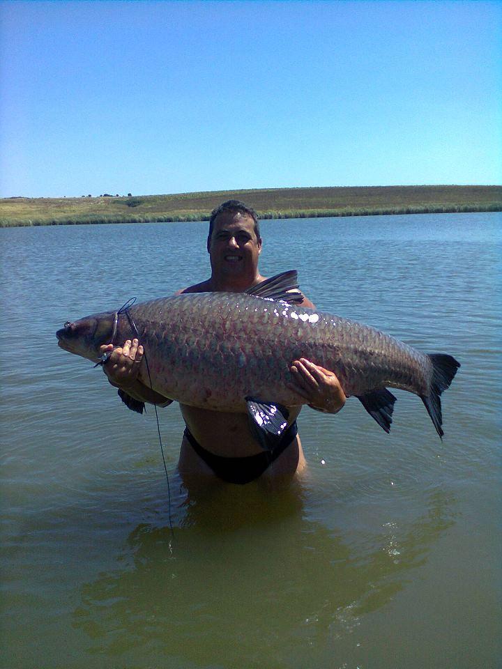 Scoicar  52.370 kg - 4829394308914736369621389727894n.jpg